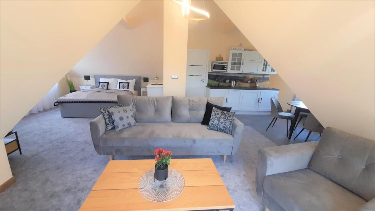 Apartamenty Geiger Witów エクステリア 写真